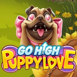 Try Go High Puppy Love slot by RubyPlay on winnita-casinoo.com – logo image