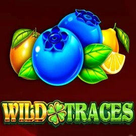 Wild Traces logo by Amusnet Interactive Winnita casino